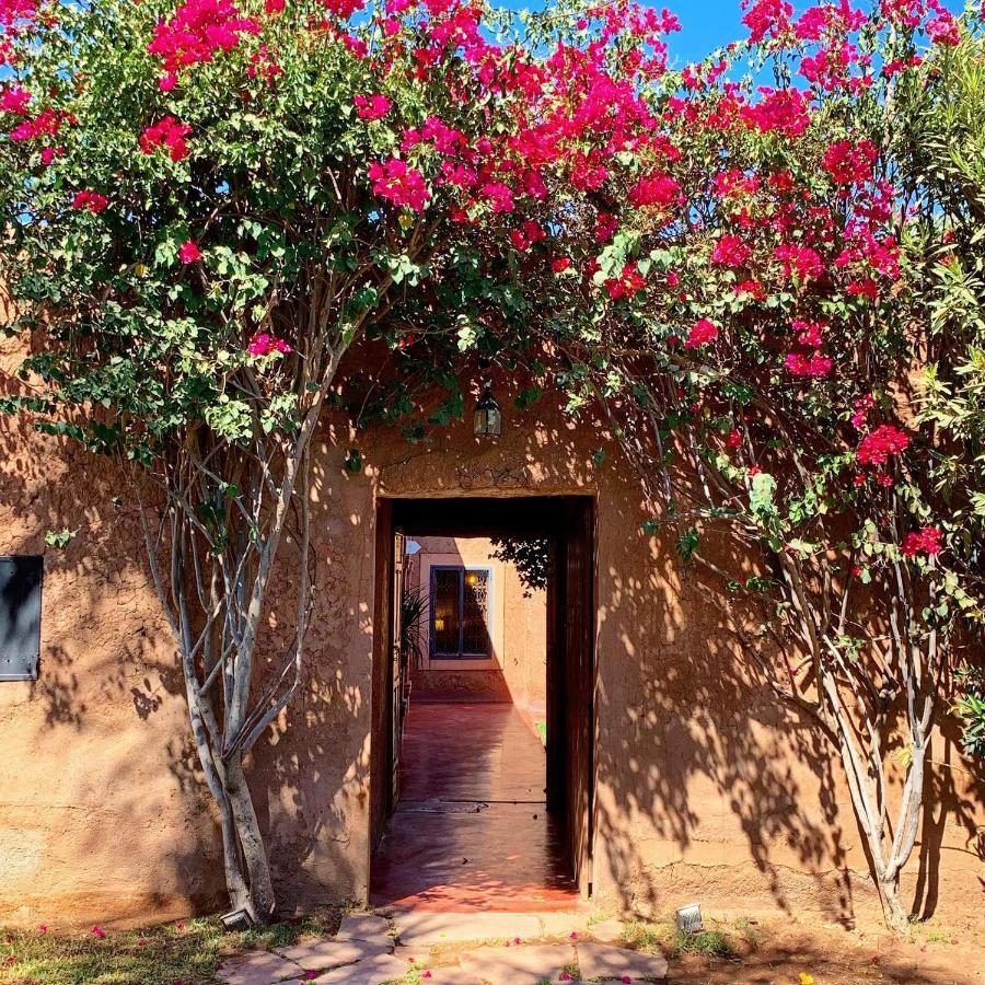 La Ferme Berbere Adult Only Bed and Breakfast El Harkat Eksteriør billede