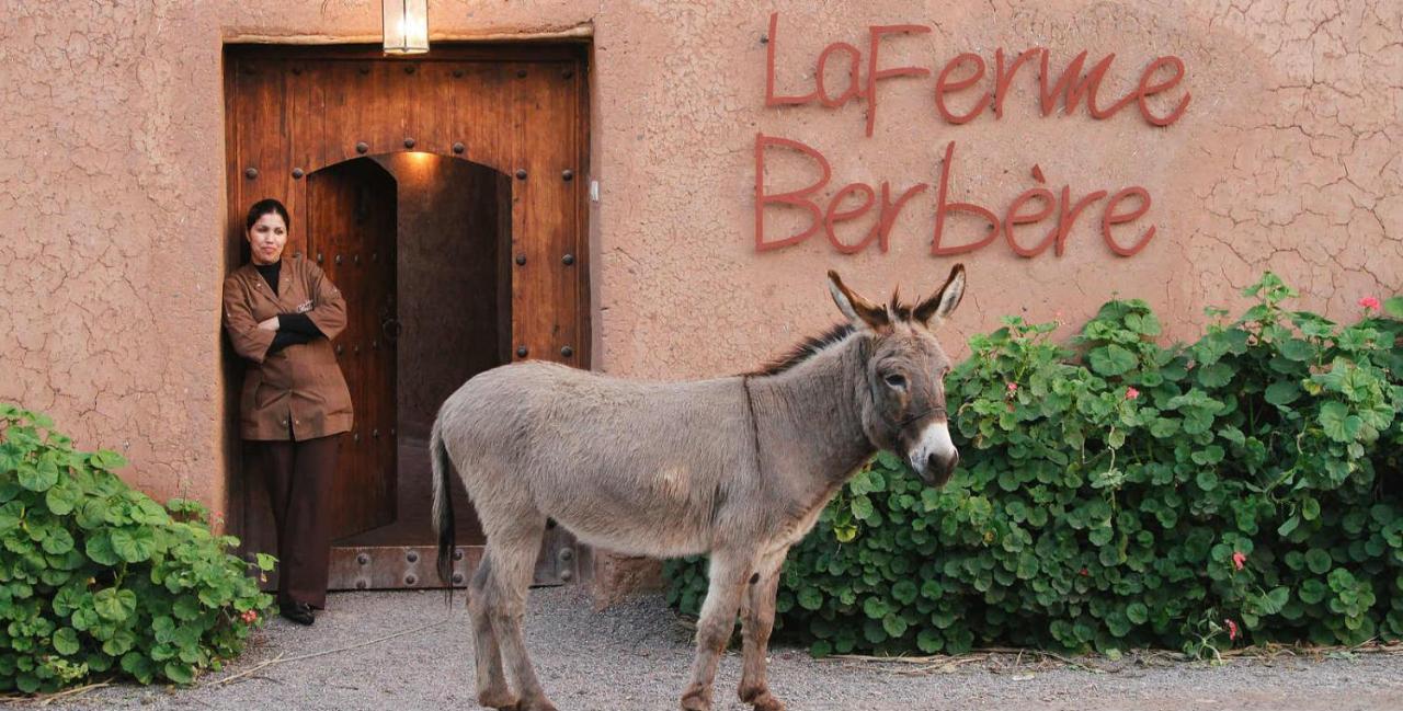 La Ferme Berbere Adult Only Bed and Breakfast El Harkat Eksteriør billede