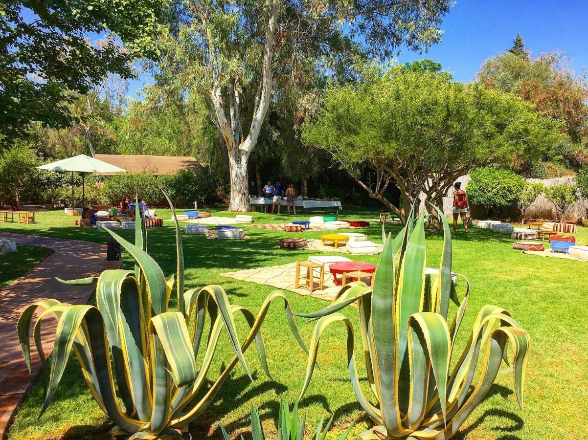 La Ferme Berbere Adult Only Bed and Breakfast El Harkat Eksteriør billede