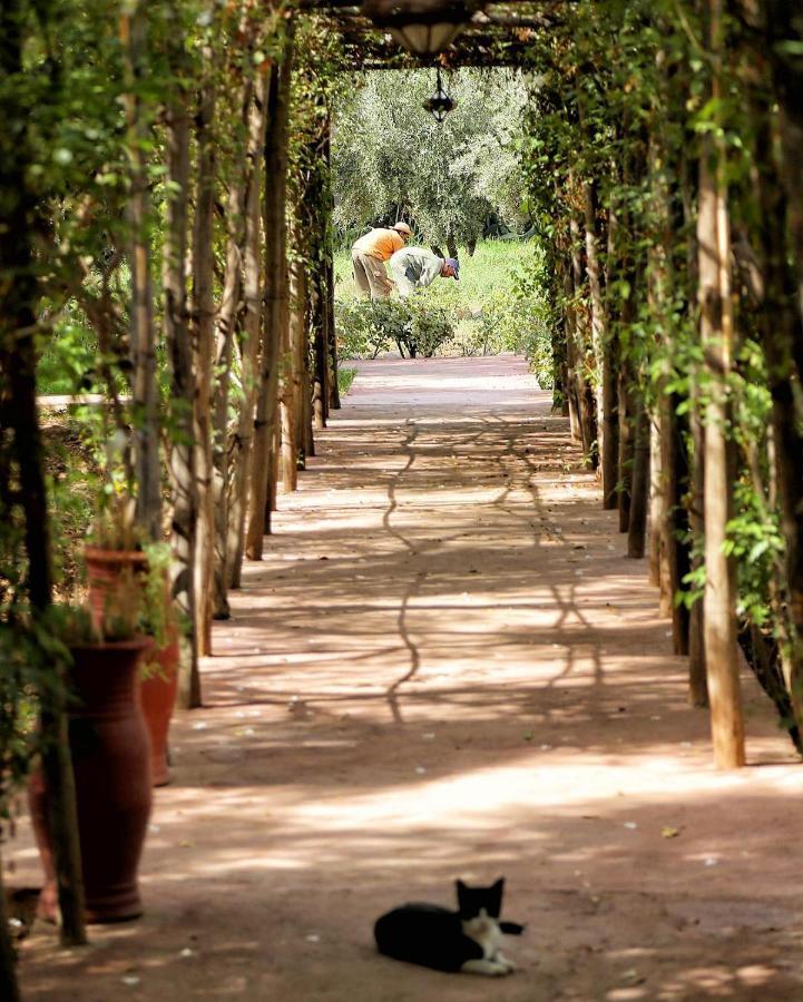 La Ferme Berbere Adult Only Bed and Breakfast El Harkat Eksteriør billede